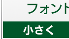 フォントの大きさ 中