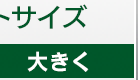 フォントの大きさ 大